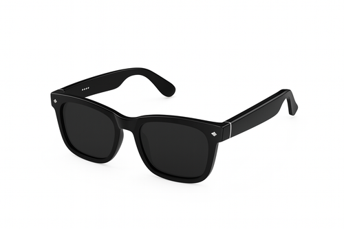 Onyx 2 Smart Sunglasses | AI EYE